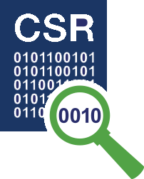 CSR内容检查工具